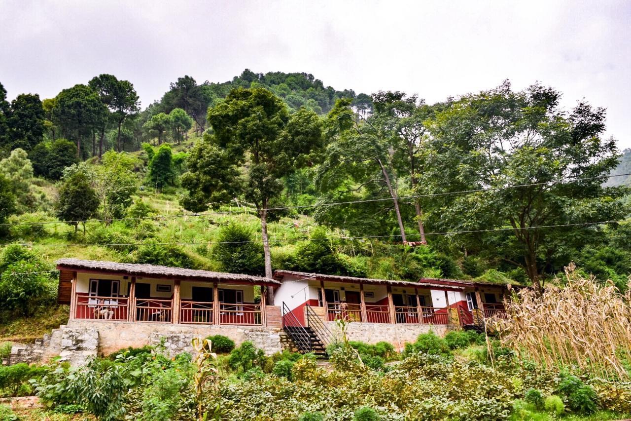 Solid Rock - Lodge & Restaurant Pharping Exterior photo